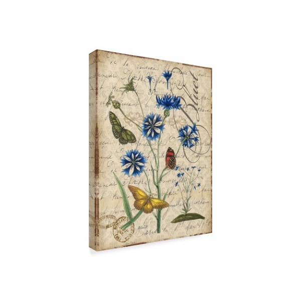 Jean Plout 'Aster Bluet Damask' Canvas Art,18x24